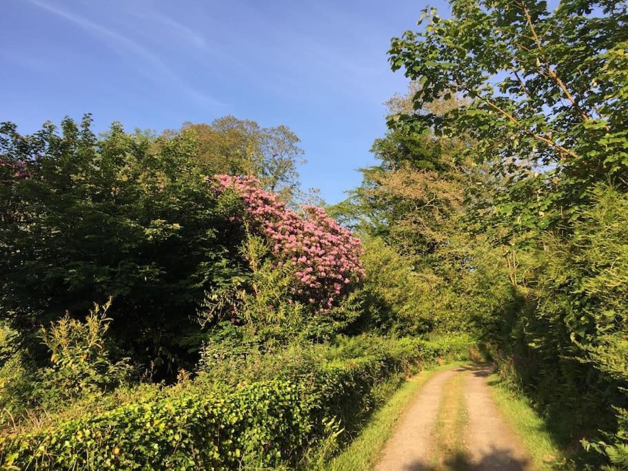 Tranquil Getaway Near Brecon Beacons Lejlighed Llandovery Eksteriør billede